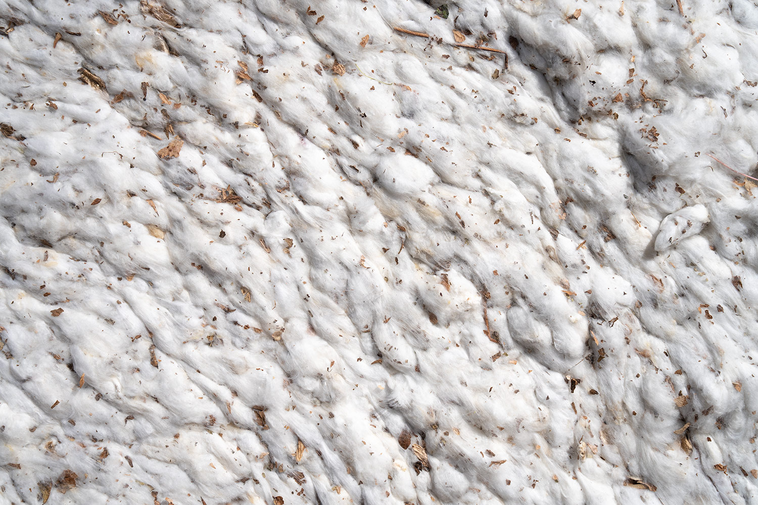 New GOTS Rules in Place Regarding Cotton Fibres and Ginning